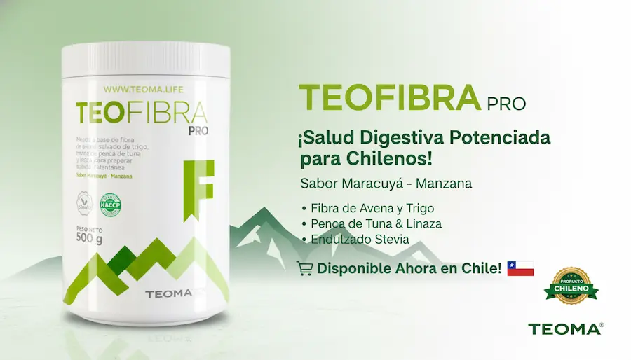 Teo Fibra